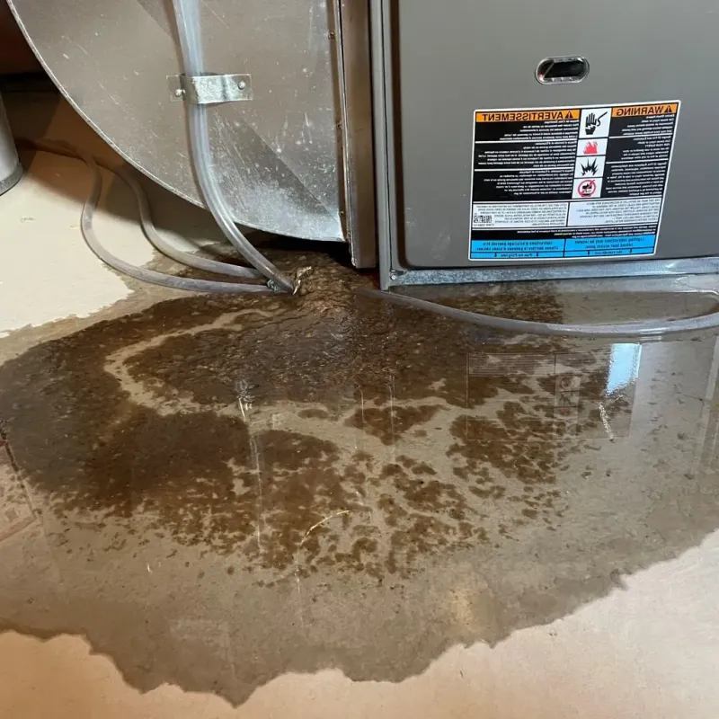 Pipe Burst and Leak Restoration in Jasper, IN